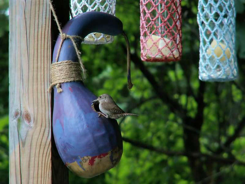 Ongoing Clutter Management: Tips and Tricks